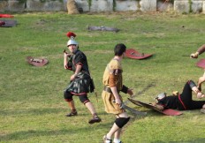 la compagnie senlisienne du patrimoine spectacle les dieux de l'arène