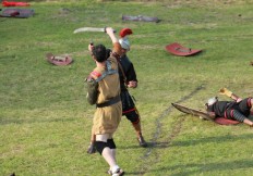 la compagnie senlisienne du patrimoine spectacle les dieux de l'arène